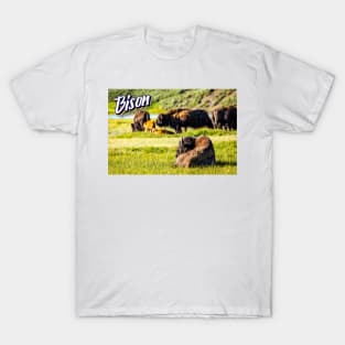 Bison at Yellowstone T-Shirt